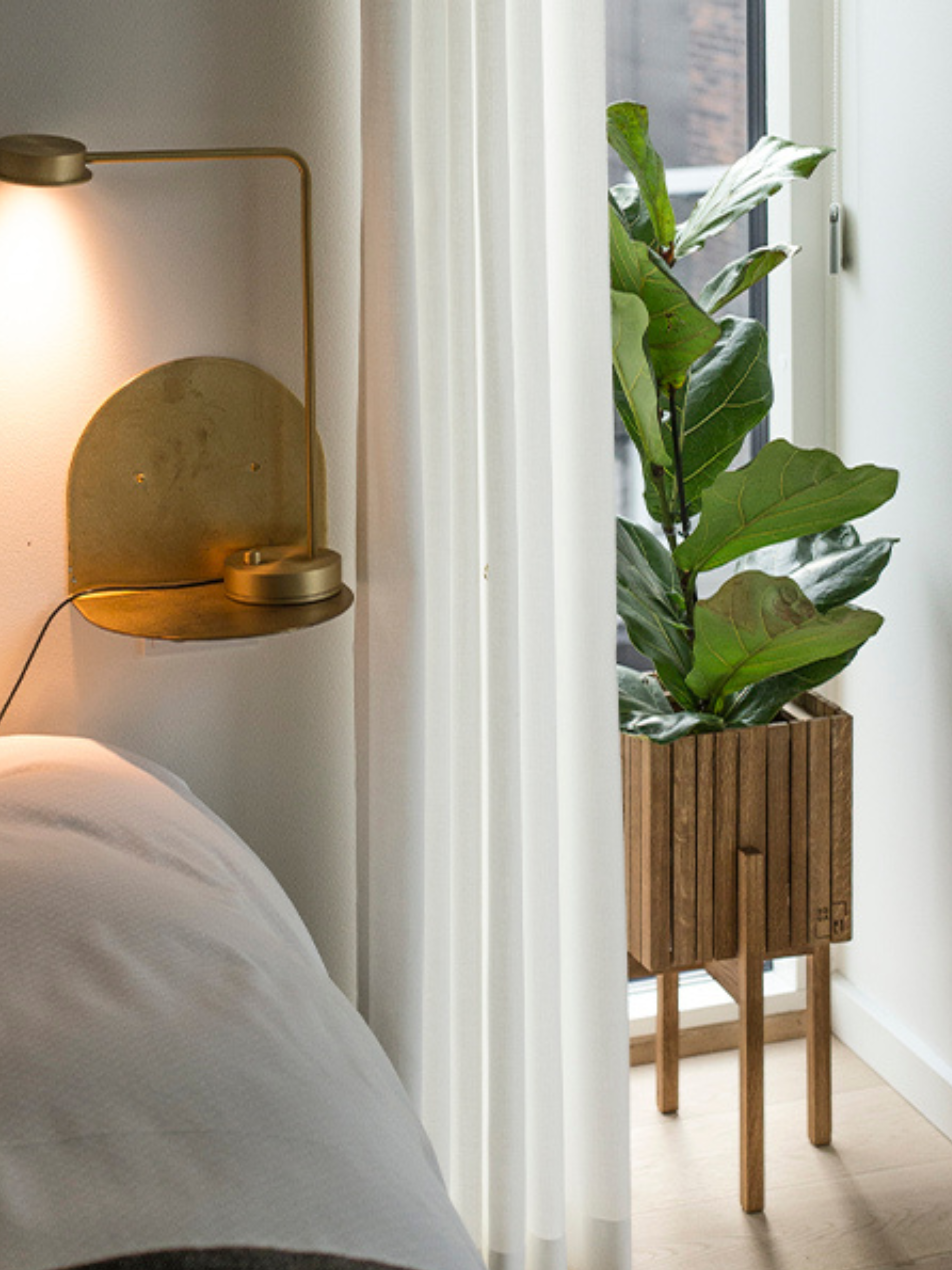 Self-Watering Planter GrowON - Dark Oak